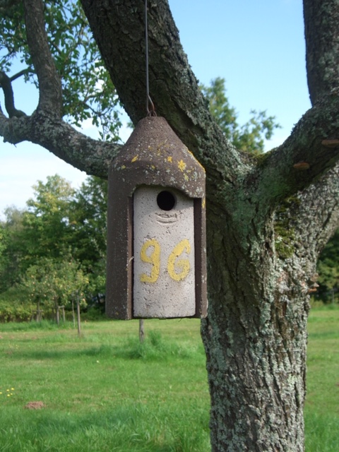 Nistkästen